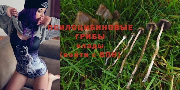 прущие крисы Баксан