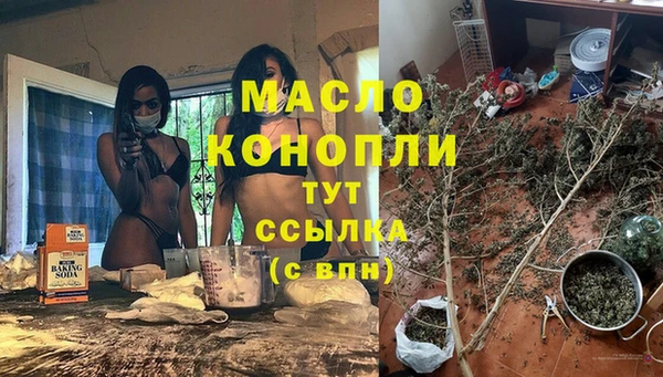 молекула духа Балахна