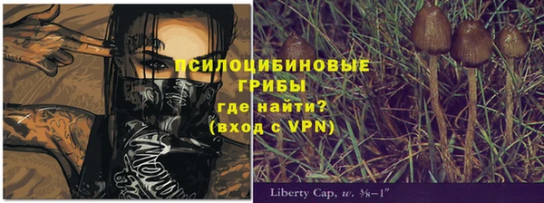 молекула духа Балахна