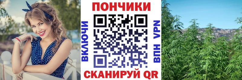 как найти наркотики  Невельск  Канабис Bruce Banner 